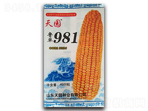 981-׷N-@NI