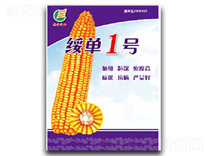 綏單1號-玉米種子-穗豐種業