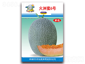 火洲蜜6號-甜瓜種子-農樂農業