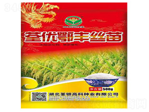 荃優鄂豐絲苗-水稻種子-荃銀高科