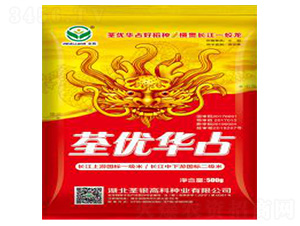 荃優(yōu)華占-水稻種子-荃銀高科