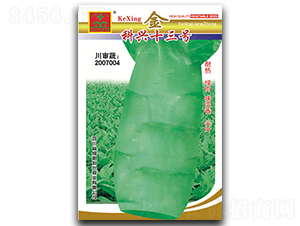 金科興十三號(hào)-萵筍種子-科興種業(yè)