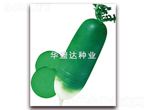 u}-}N-Aʢ_