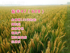 }S4760B-ˮN-ƷNI