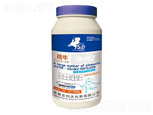 大量元素水溶肥料-磷鉀花果動力-史利夫