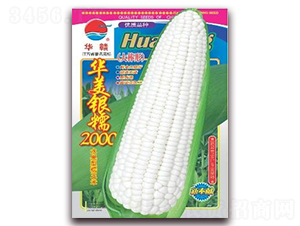 AyŴ2000-Ŵ׷N-ArNI