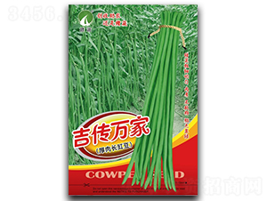 吉傳萬家-豇豆種子-贛蔬種業