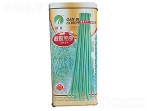 翡翠傳奇-豇豆種子-贛蔬種業
