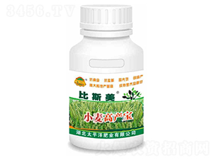 小麥高產寶-比斯美-廣富林