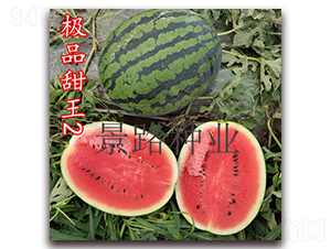 極品甜王2號-大西瓜種子-景路種業