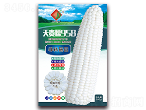 FŴ958-Ŵ׷N-NI