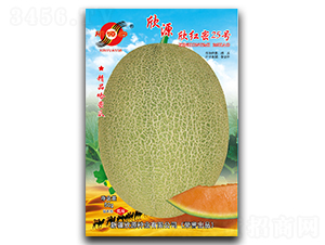t25̖(ho)-ϷN-ԴNI(y)