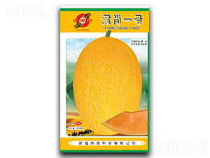 Sһ̖(ho)-ϷN-ԴNI(y)