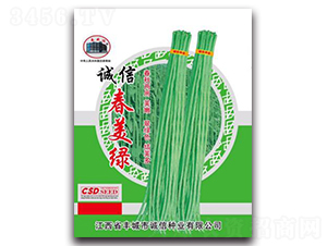 誠信春美綠-豇豆種子-誠信種業