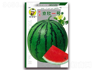 һ̖(ho)-ϷN-F(xin)NI(y)