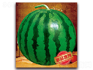 I-ϷN-
