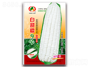 Ŵ9̖-Ŵ׷N-NI