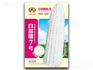 Ŵ7̖-Ŵ׷N-NI