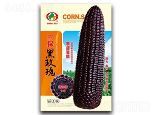 õ-Ŵ׷N-NI