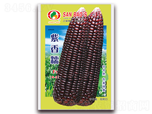 ŴF1-Ŵ׷N-NI