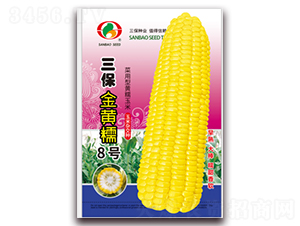 SŴ8̖-Ŵ׷N-NI