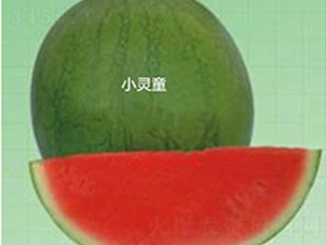 С`ͯ-ϷN-ʢNI
