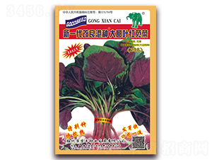 新一代改良港種大圓葉紅莧菜（298）-莧菜種子-吉豐種業
