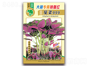 大棚專用特別紅莧菜999-莧菜種子-吉豐種業