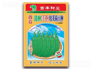 改良港種11號軟莢荷豆種-荷蘭豆種子-吉豐種業