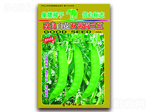 改良白花雙莢荷蘭豆（888）-荷蘭豆種子-吉豐種業