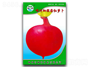 ݼiAt}-}N-ӿƷNI