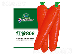 t808-}N-ԴrI(y)