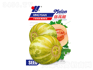 仨-ϷN-ԴrI