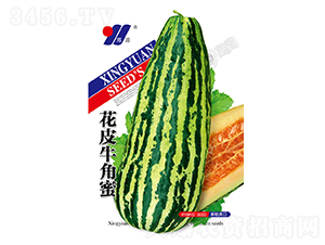 Ƥţ-ϷN-ԴrI