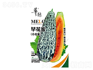 绨-ϷN-ԴrI