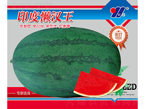 ӡȑНh-ϷN-ԴrI