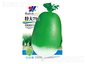 ش791}-}N-ԴrI