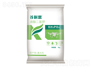 袋裝 磷酸二氫鉀-泓源生物