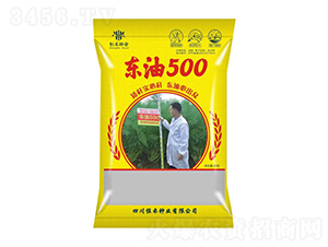 Ͳ˷N-|500-̷NI