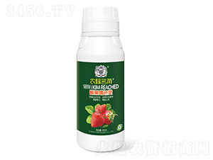 草莓膨大拉長靈-獅馬肥業