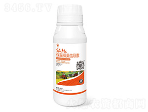 保花保果信導(dǎo)素-獅馬肥業(yè)