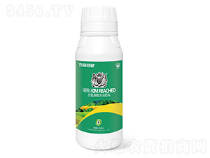 氨基酸水溶肥料1000ml-獅馬肥業