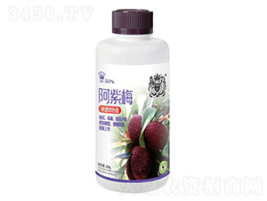 快速增色型-阿紫梅-獅馬肥業