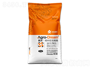 根葉旺花艷艷-華農祥瑞