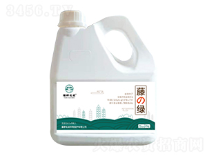 藤綠（水稻返青分蘗增產）-藤野化成