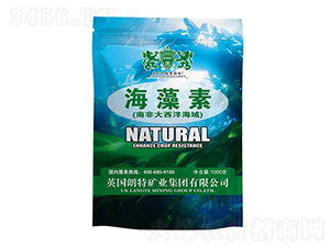 1000g-Ӣ