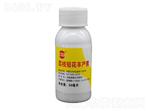 50ml֦̻Sa-_