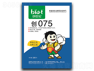 075-޻N-o