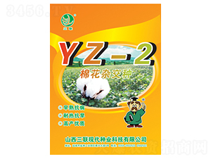 ޻sNYZ-2-