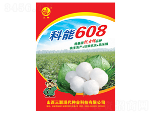 608-޻N-